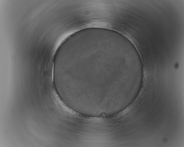 X0000111161123200907211220