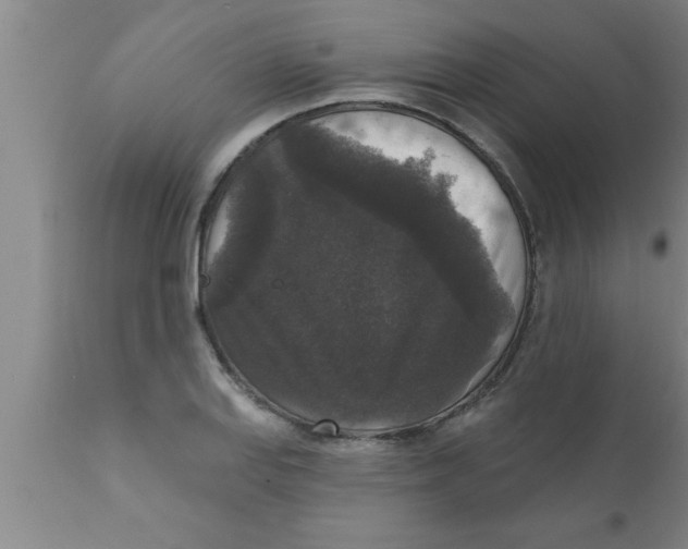 X0000111161127200907211220