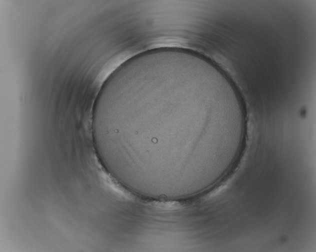 X0000111161129200907211220