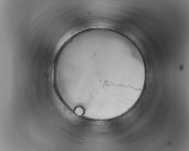 X0000111161130200907211220