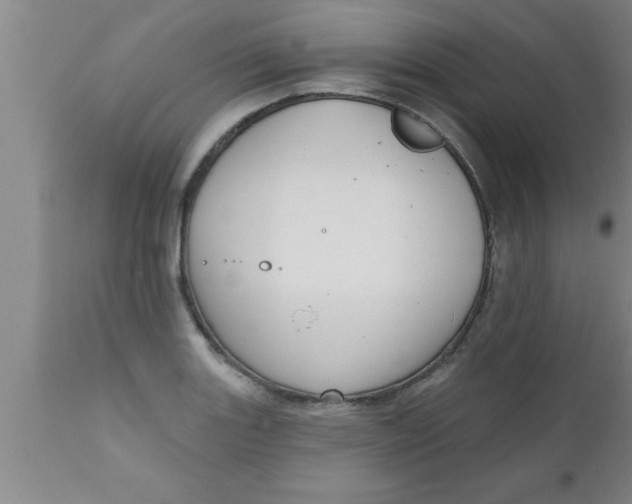 X0000111161131200907211220