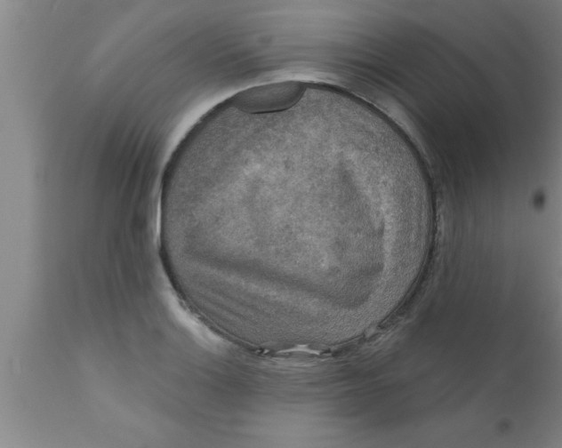 X0000111161132200907211220