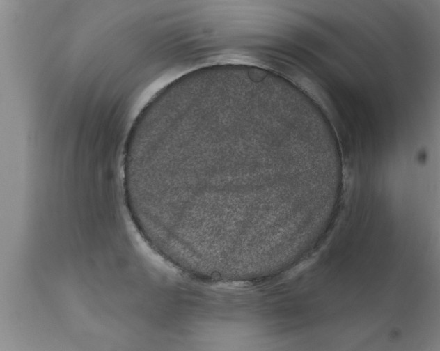 X0000111161133200907211220