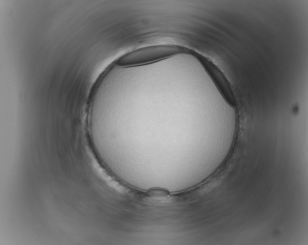 X0000111161134200907211220