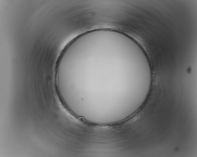 X0000111161135200907211220