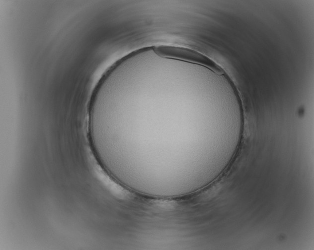 X0000111161136200907211220