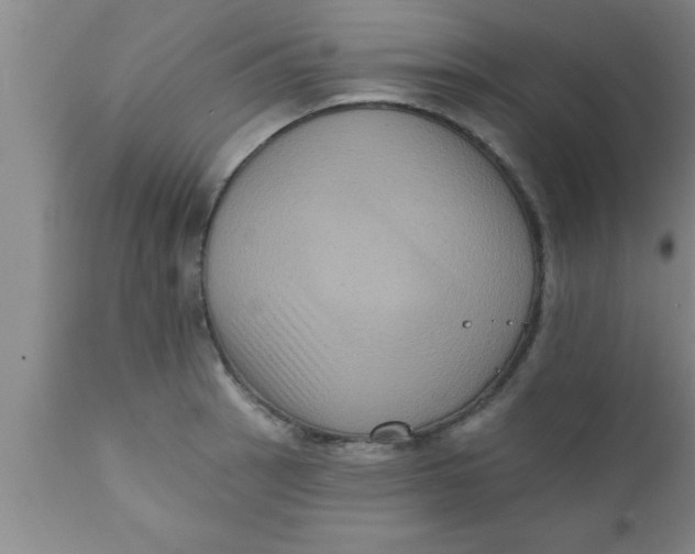 X0000111161137200907211221