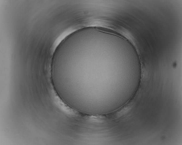 X0000111161138200907211221