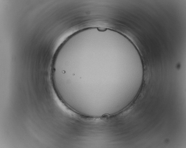 X0000111161139200907211221