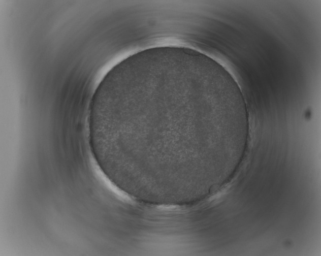 X0000111161142200907211221