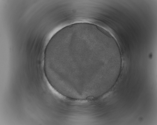 X0000111161143200907211221