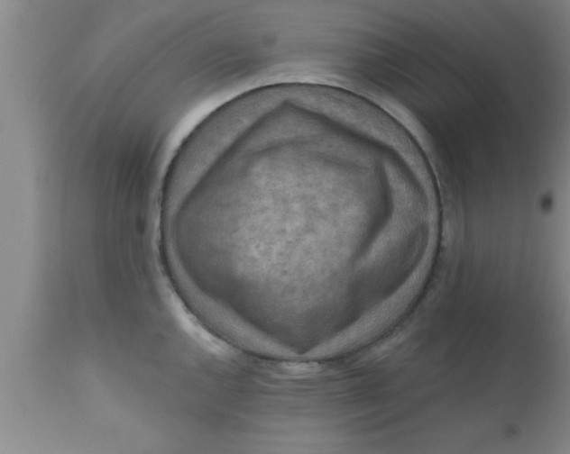 X0000111161144200907211221