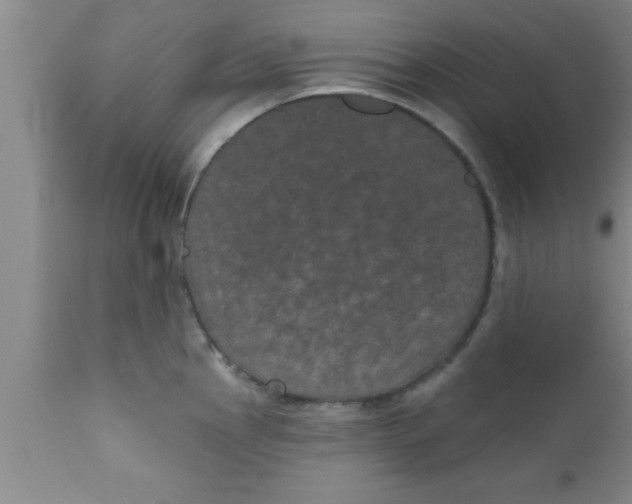 X0000111161145200907211221