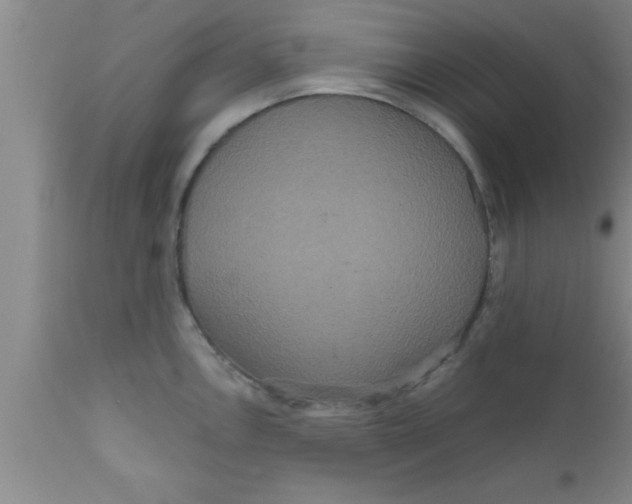 X0000111161146200907211221