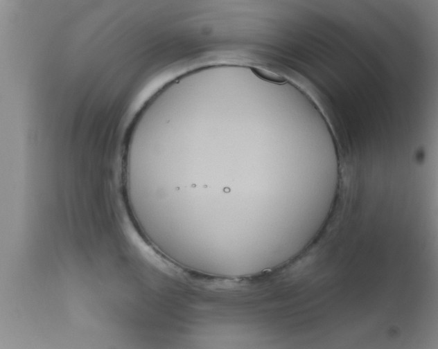 X0000111161147200907211221