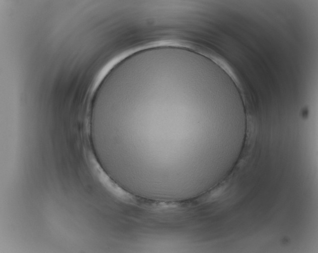 X0000111161148200907211221