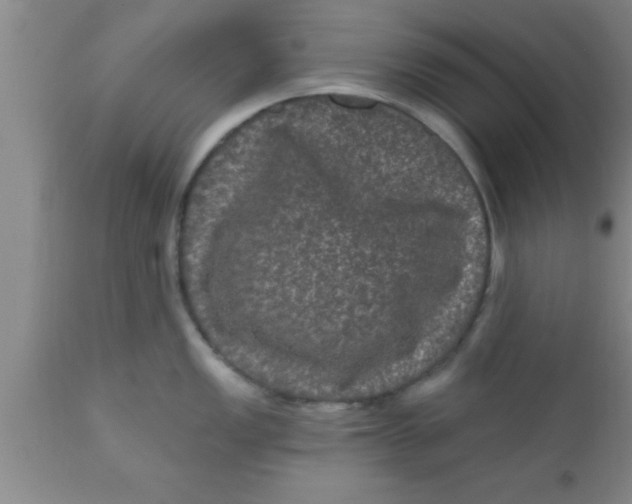 X0000111161149200907211221