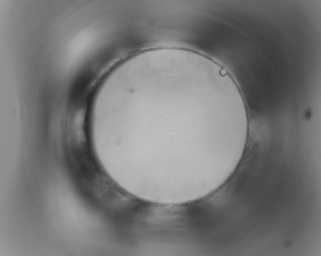 X0000111161150200907211221