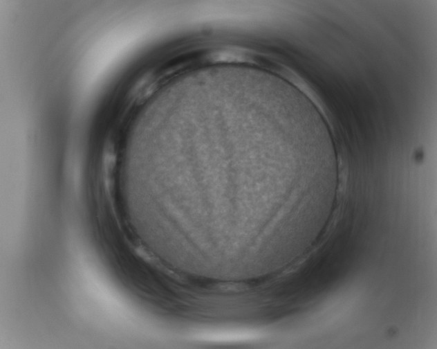 X0000111161151200907211221