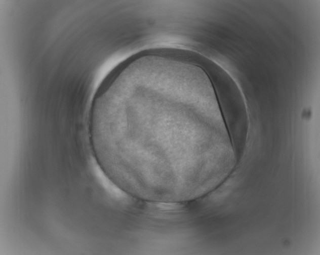 X0000111161152200907211221