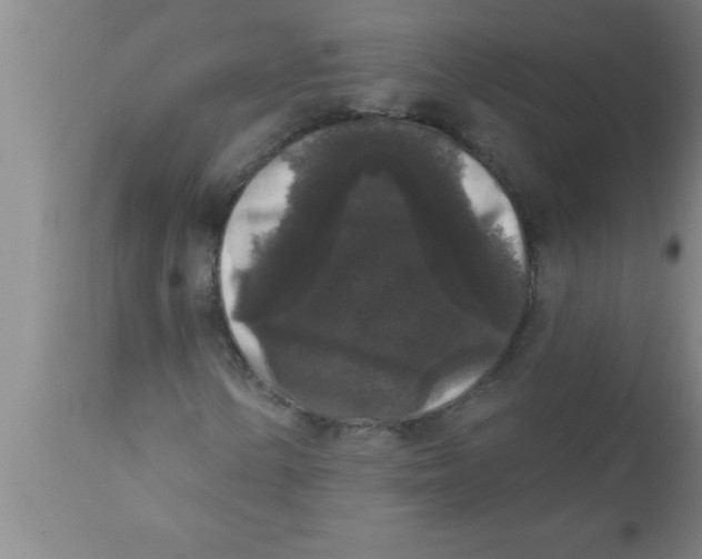 X0000111161154200907211220