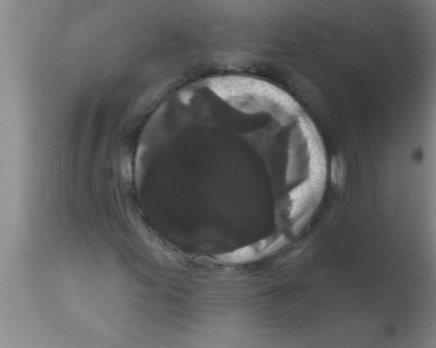 X0000111161155200907211220