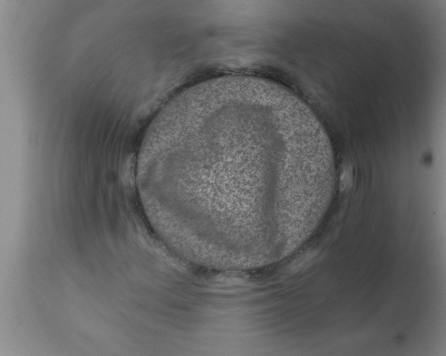 X0000111161156200907211220