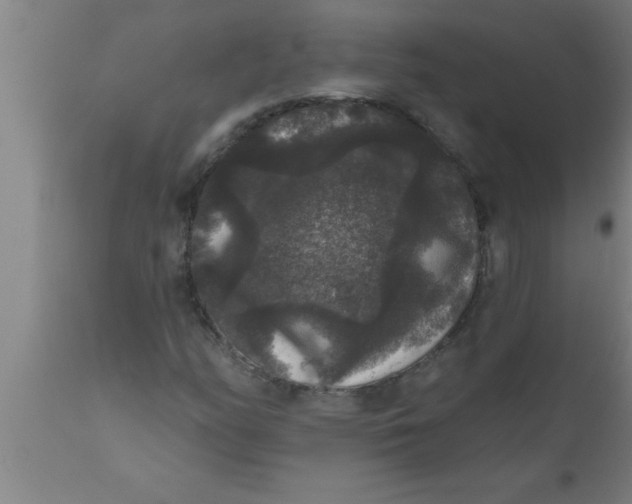 X0000111161158200907211220