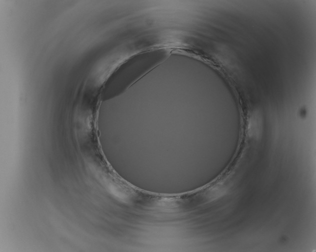 X0000111161161200907211220