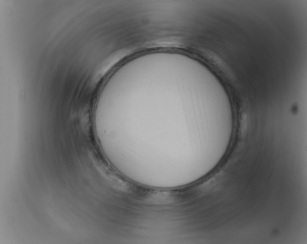 X0000111161162200907211220