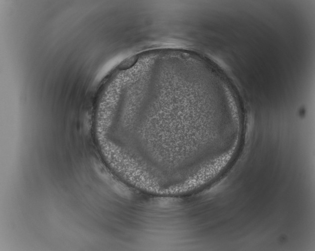 X0000111161163200907211220