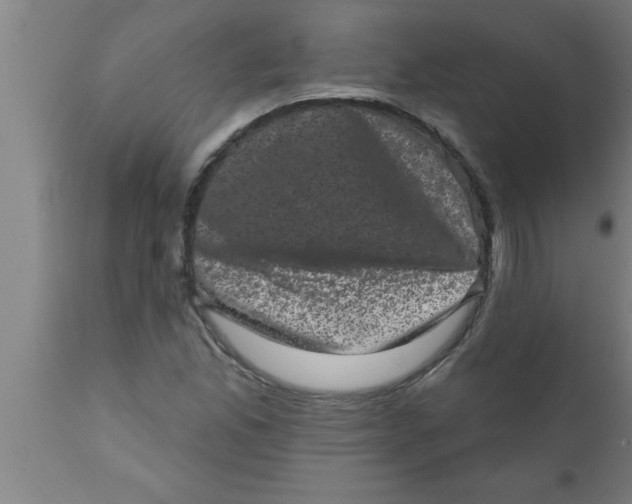 X0000111161165200907211220