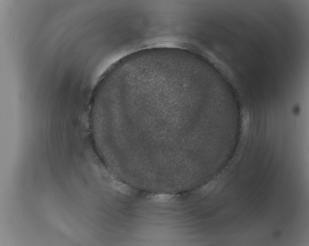 X0000111161166200907211220