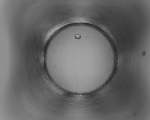 X0000111161167200907211220