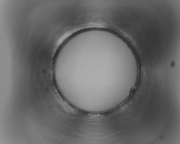 X0000111161168200907211220