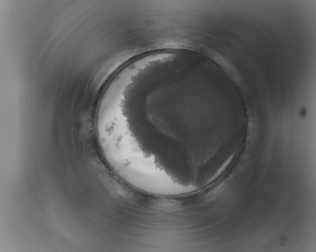 X0000111161170200907211220