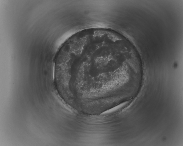 X0000111161171200907211220