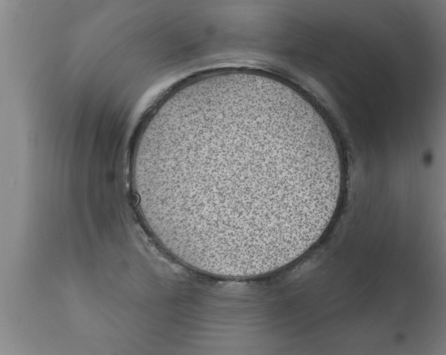 X0000111161172200907211219