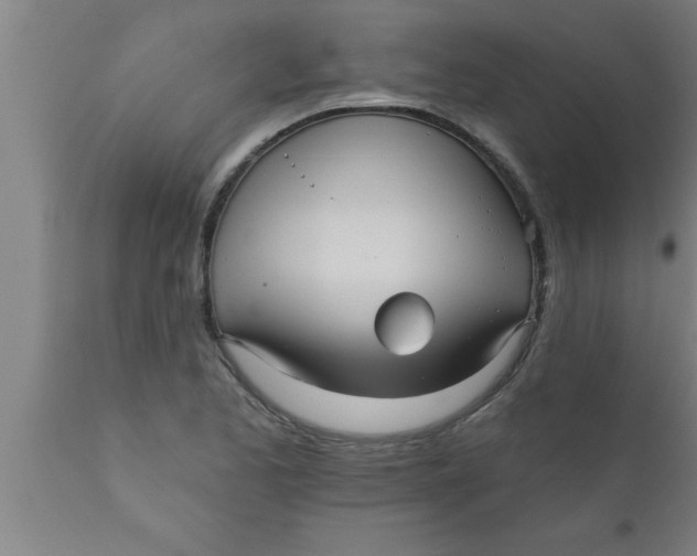 X0000111161173200907211219