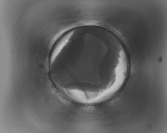 X0000111161174200907211219