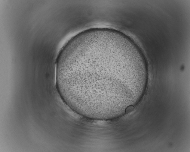 X0000111161175200907211219