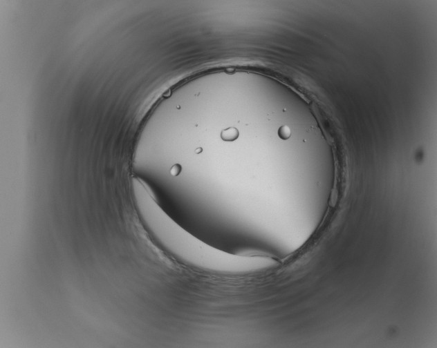 X0000111161177200907211219