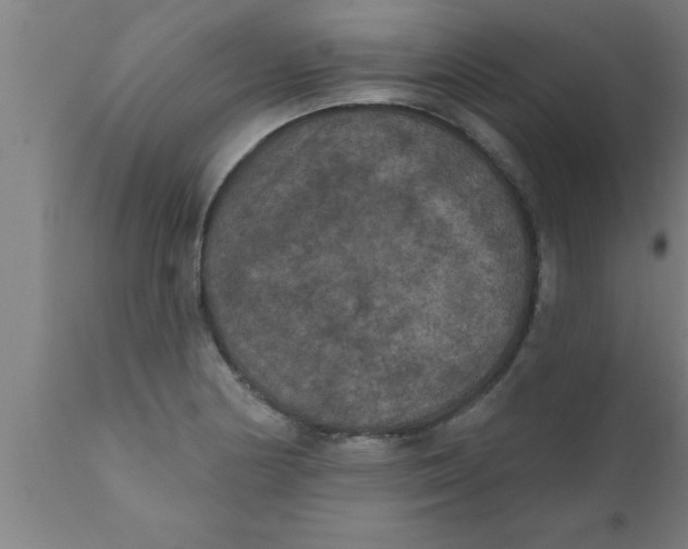 X0000111161178200907211219