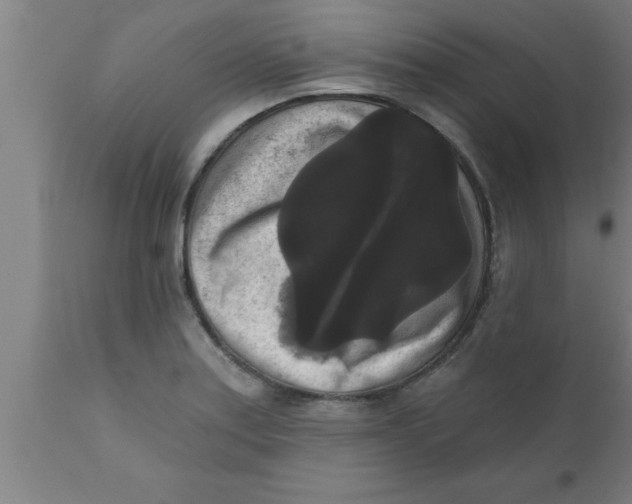 X0000111161179200907211219