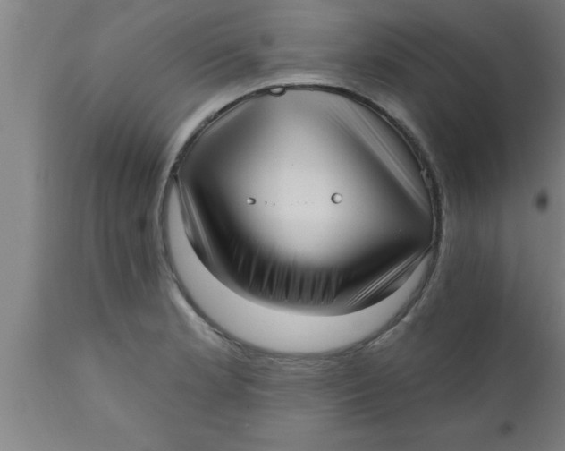 X0000111161181200907211219