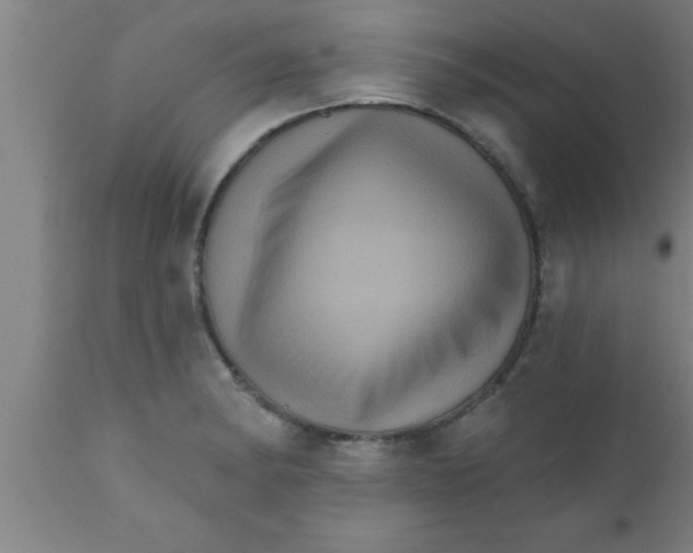 X0000111161182200907211219