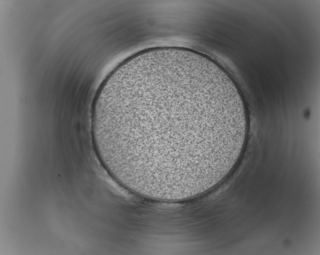 X0000111161184200907211219