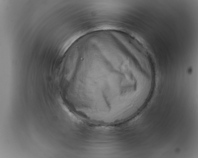 X0000111161185200907211219