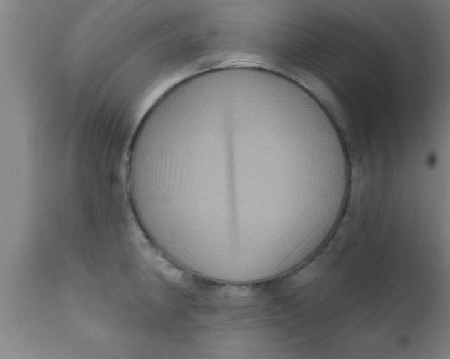 X0000111161190200907211219