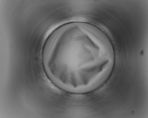 X0000111161192200907211219